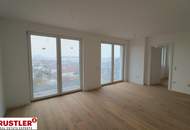 Urban Living in Floridsdorf