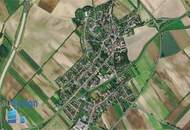 Wilfersdorf ! Schönes Baugrundstück in Siedlungslage - PROVISIONSFREI für den Käufer! Auch für Bauträger geeignet !