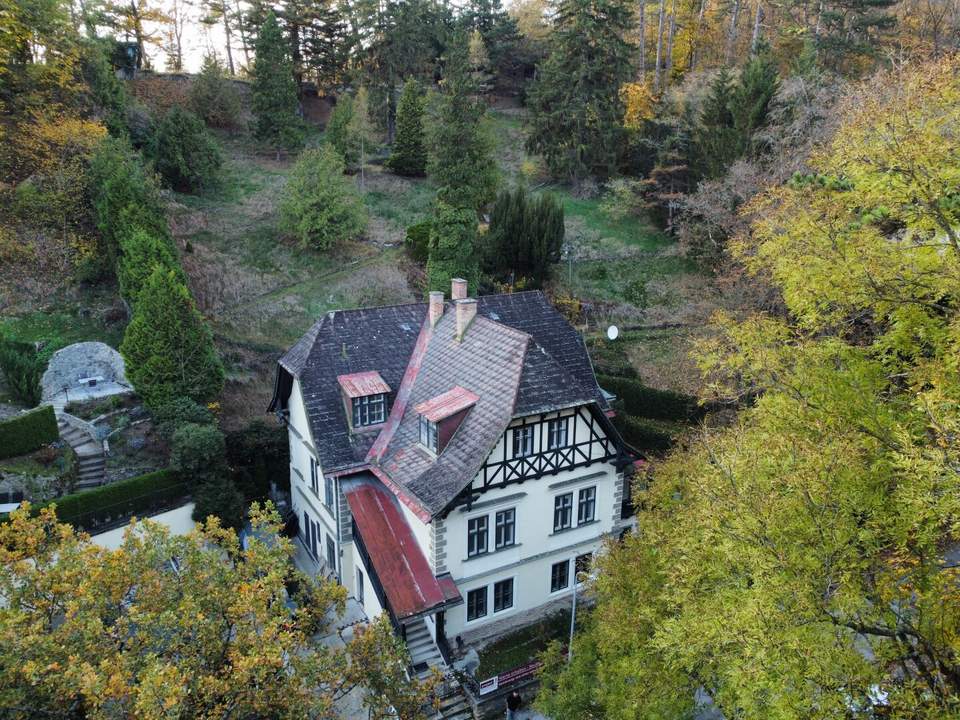 Außergewöhnliche Villa in absolut ruhiger Waldrandlage I Rund um Natur pur nahe Lainzer Tiergarten I Ausbauen+sanieren