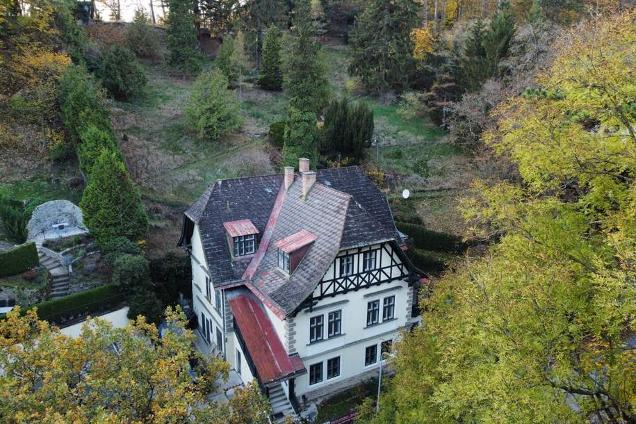 Außergewöhnliche Villa in absolut ruhiger Waldrandlage I Rund um Natur pur nahe Lainzer Tiergarten I Ausbauen+sanieren, Haus-kauf, 1.395.000,€, 1230 Wien 23., Liesing