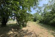 Grundstück mit Altbestand