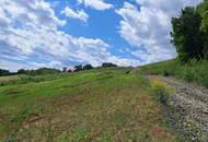 Die eigene Ranch auf 9,2ha Grund und Wald verwirklichen (Provisionsfrei)