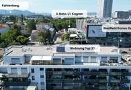 Wohnung der Superlative: Atemberaubender Weitblick in Hof-Ruhelage - große Süd-Ost-Terrasse direkt beim Donauzentrum / U1 - Baurecht