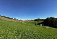 Ihr Traum beginnt hier! Malerisches Grundstück in Leibnitz/Fötschach mit atemberaubender Aussicht und historischem Altbestand! Gleich anfragen!