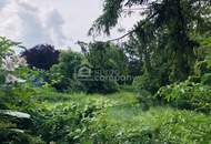 Baugrund 743m² Grünruhelage