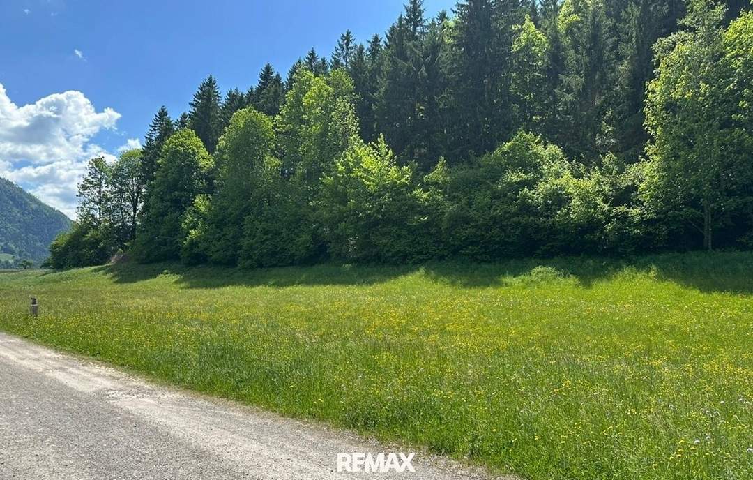 Baugrundstück in Naturlage
