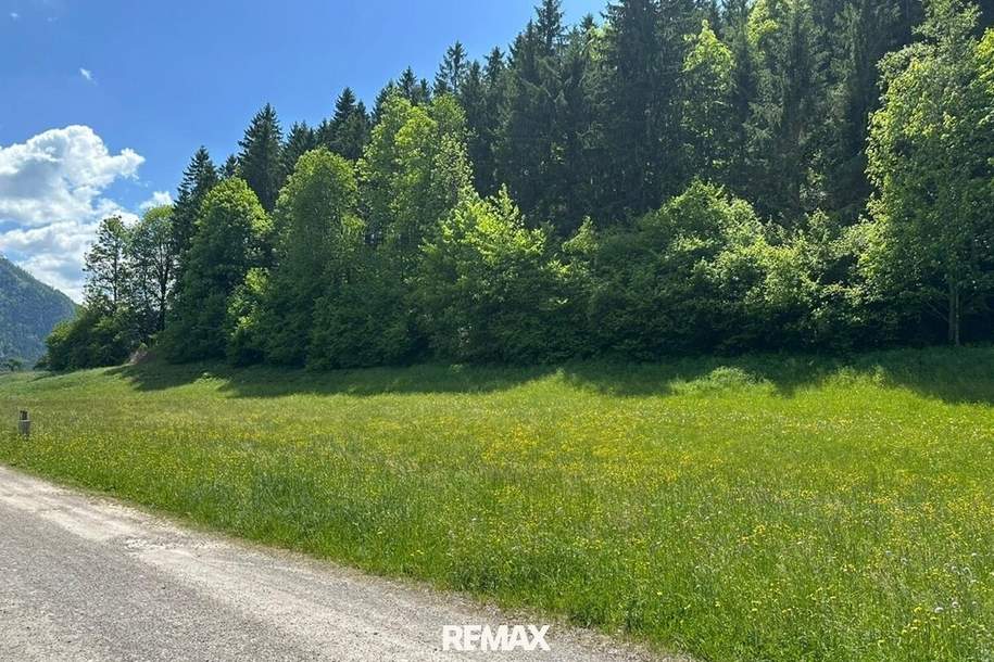 KAUFVEREINBARUNG!!! Baugrundstück in Naturlage, Grund und Boden-kauf, 56.000,€, 8931 Liezen