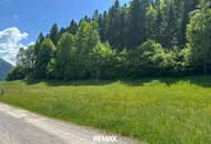 Baugrundstück in Naturlage