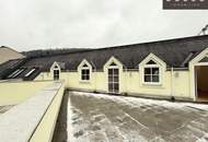 | AB SOFORT | 6 ZIMMER | NEUWALDEGGER STRASSE | BÜRO | GROSSE TERRASSE | 1170