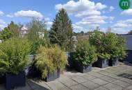 Exklusive Wohnung mit Terrasse in Grinzing