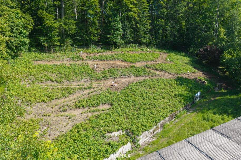 Neubauwohnung in der Kulturhauptstadt Bad Ischl, Wohnung-kauf, 765.000,€, 4820 Gmunden