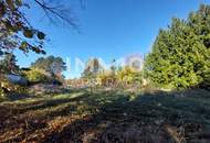 Attraktives Bauträgergrundstück in Ulrichskirchen – 3.560 m² Bauland in ruhiger Siedlungslage