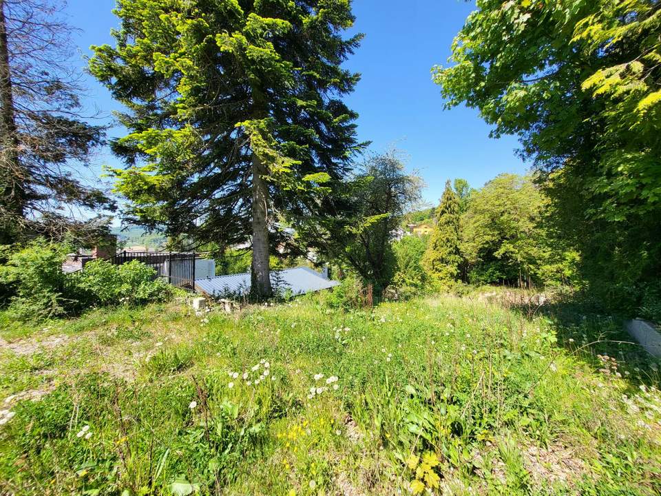 "NEUER PREIS!" AUFGESCHLOSSENER BAUGRUND IN RUHIGER WALDRANDLAGE