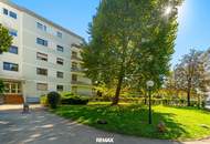 Große modernisierte Wohnung in zentraler Lage