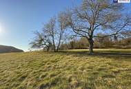 7 Parzellen verfügbar - Tolles Baugrundstück am Sonnenhang in Prenning bei Deutschfeistritz – 3.700 m², aufteilbar in 7 Parzellen