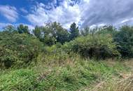 Kleinsitzendorf: Baugrund voller Möglichkeiten – Traumplatz, Traumidee, Traum wird wahr!