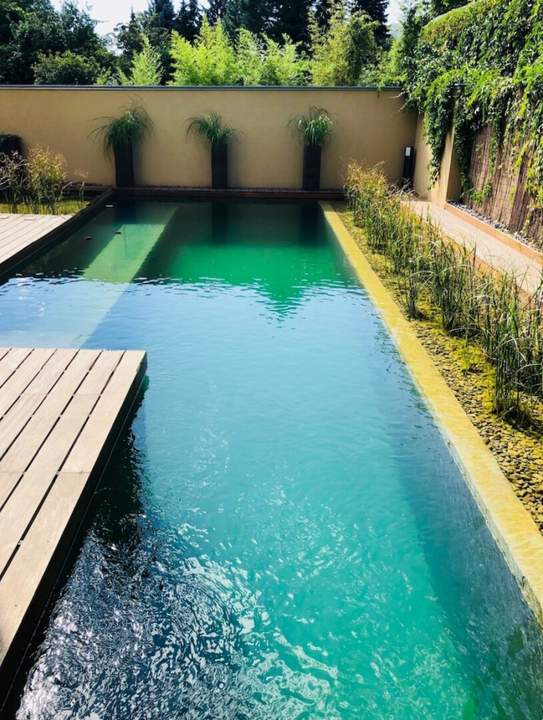 Stadtvilla mit Naturpool im Zentrum Klosterneuburg I Doppelgarage I Fernsicht + Blick Stift Klosterneuburg