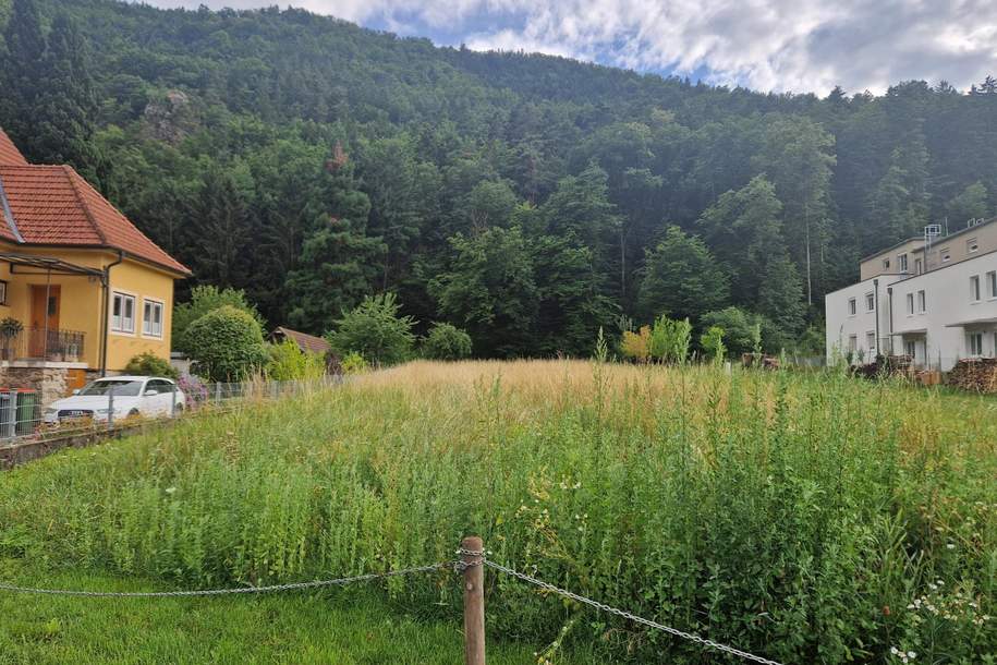 EINE SELTENE GELEGENHEIT: BAUGRUNDSTÜCK MIT EIGENEM WALD MIT HERRLICHEM AUSBLICK DIREKT AM WASSER, Grund und Boden-kauf, 115.000,€, 3541 Krems(Land)