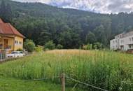 EINE SELTENE GELEGENHEIT: BAUGRUNDSTÜCK MIT EIGENEM WALD MIT HERRLICHEM AUSBLICK DIREKT AM WASSER