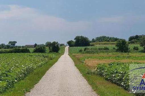 Baugrundstück in Theresienfeld!, Grund und Boden-kauf, 2604 Wiener Neustadt(Land)
