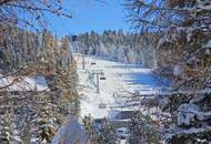 Natur, Abenteuer & Luxus vereint! – CHALET SLEEPY BEAR - Sofort Ski-In & Ski-Out