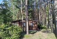 Machen Sie es sich gemütlich!