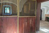 Wunderschöner Dreikanthof in Ruhelage mit Reithalle