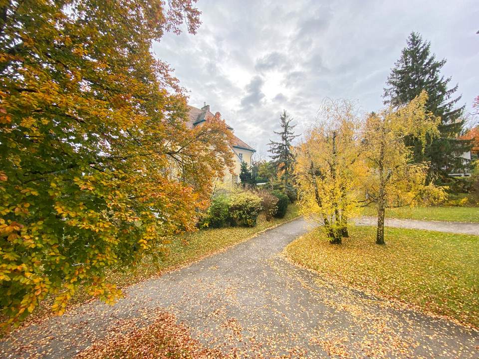 Fantastische 3,5-Zimmer-Balkonwohnung Nähe Dornbacher Pfarrkirche