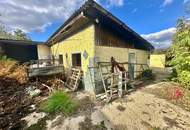 Reiterparadies im Weinviertel – Ihr Traum vom Landleben!