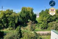 4 Zimmer mit Terrasse (Fernblick)