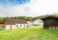 Leistbares Einfamilienhaus mit Garten und Gartenhütte!