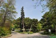 SINGLEHIT - KLEIN ABER MEIN!!!