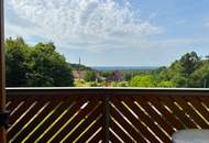 Umgebautes Kellerstöckl mit 3 Wohneinheiten, Terrasse, Balkon, Keller und Weingarten in Aussichtslage