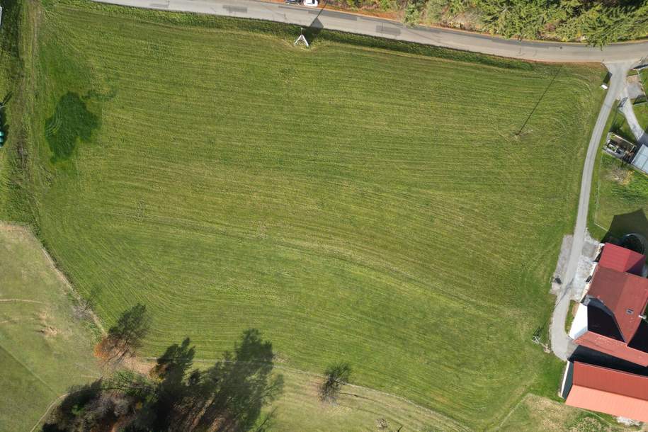 Wunderbares Grundstück in Prach-Sonnen-Lage von ca. 5.000m² Gesamtfläche!!! Oisnitz / St. Josef - Nähe Lannach, Grund und Boden-kauf, 980.000,€, 8503 Deutschlandsberg