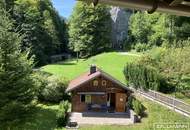 Nostalgie trifft Moderne - Verträumtes Landhaus am Fuße der Raxalpe | ZELLMANN IMMOBILIEN
