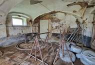 Großzügige Liegenschaft vereint Wohnen, Arbeiten und Entwickeln