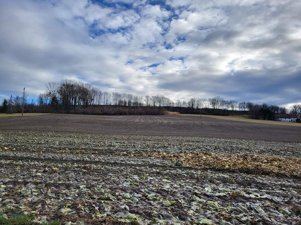 Landwirtschaftlicher Nutzgrund in Alkoven