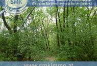 Weinkeller mit riesen Waldgrundstück Nähe A5!