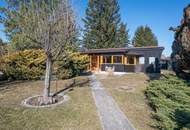 Bungalow in der Steinbrunner Seesiedlung