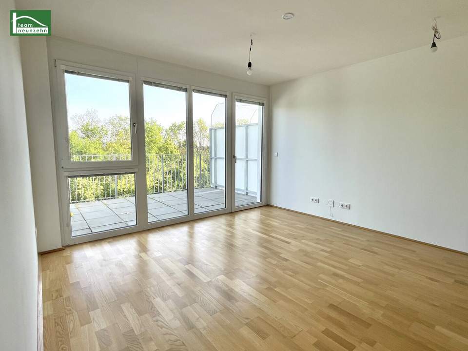 Charmante 3-Zimmer Wohnung inkl. Einbauküche und Balkon - ab 01.12.2025 beziehbar. - WOHNTRAUM