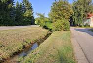 NEUER PREIS! Einfamilienhaus