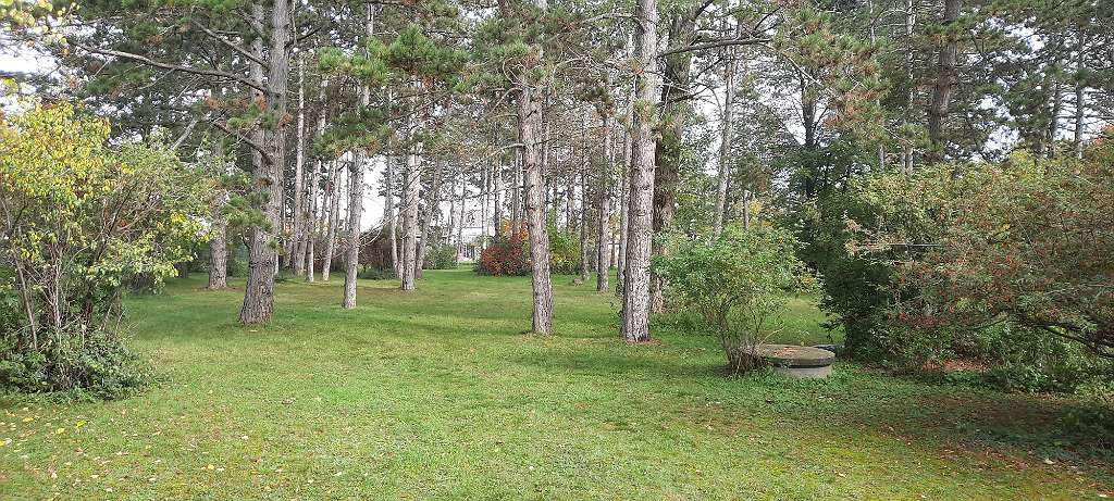 Grosses Grundstück in Gänserndorf Süd Nähe Wien