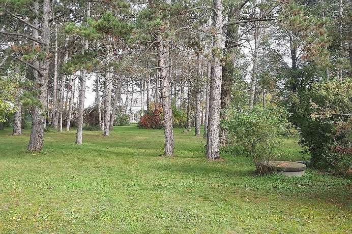 Grosses Grundstück in Gänserndorf Süd Nähe Wien, Grund und Boden-kauf, 1.750.000,€, 2230 Gänserndorf