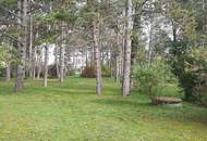 Grosses Grundstück in Gänserndorf Süd Nähe Wien