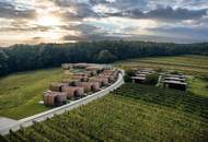 Buy-to-Let Chalets in Deutsch Schützen