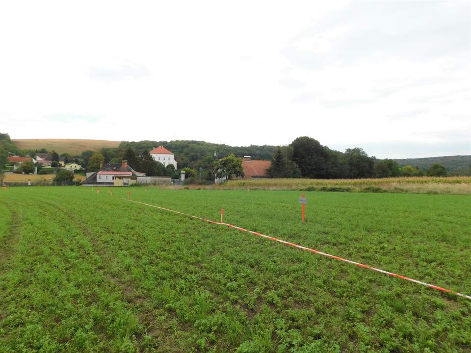 Traumhafte Baugrundstücke Mitten im Weinviertel