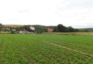 Traumhafte Baugrundstücke Mitten im Weinviertel