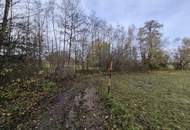 Ebenerdiges Ackerland mit Brache