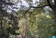 Dachgeschoss am Pötzleinsdorfer Park