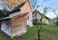 Helles Einfamilienhaus mit großem Grundstück.